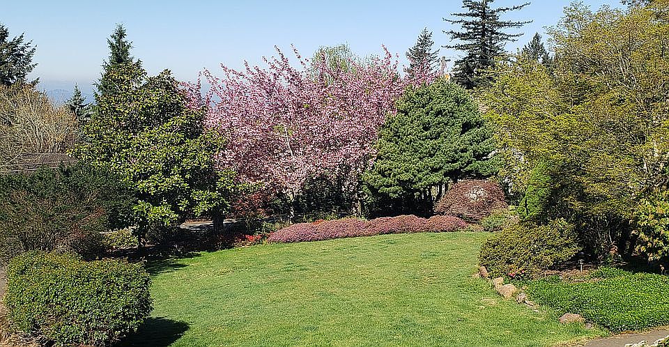 2nd image of 10080 SE Walnut Dr