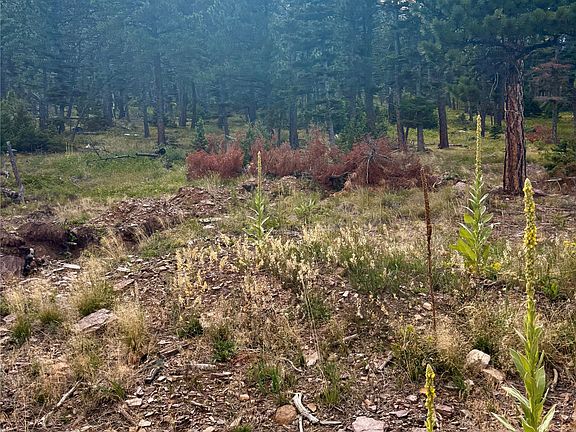 5th image of 4535 Little Wolf Creek Rd