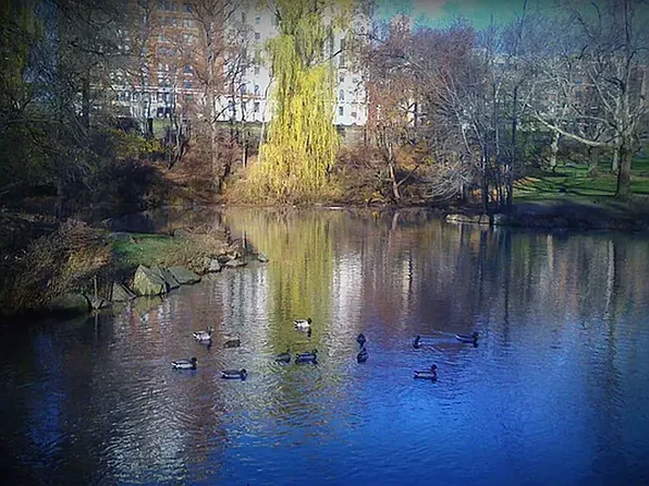 467 Central Park West image 1 of 17