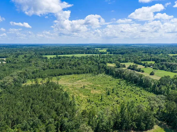 0 Mule Deer Rd, Pittsburg, TX 75686