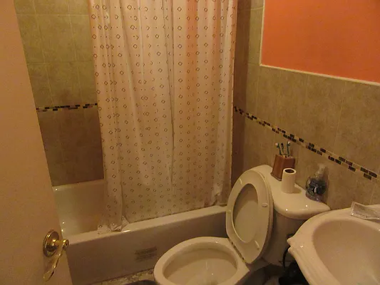 Rented by Match It Realty Inc | media 3