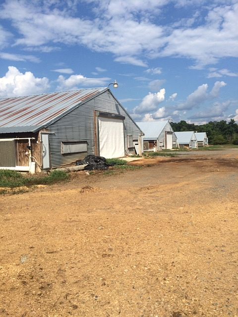 1st image of 1126 Bunn Road