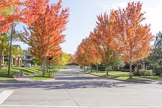 Treelined side walks throughout the community
