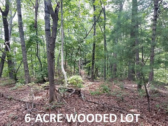 2nd image of 351 Cove Lake Dr