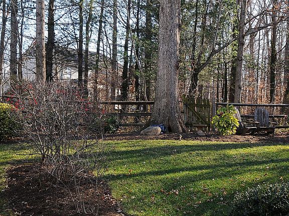 Treed flat backyard
