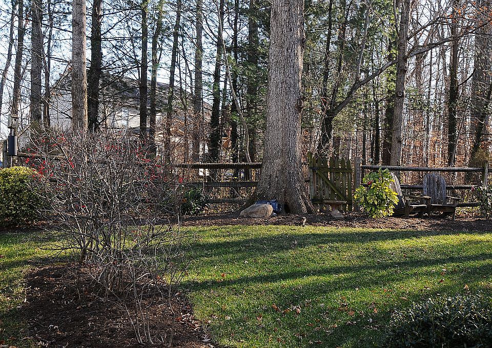 Treed flat backyard
