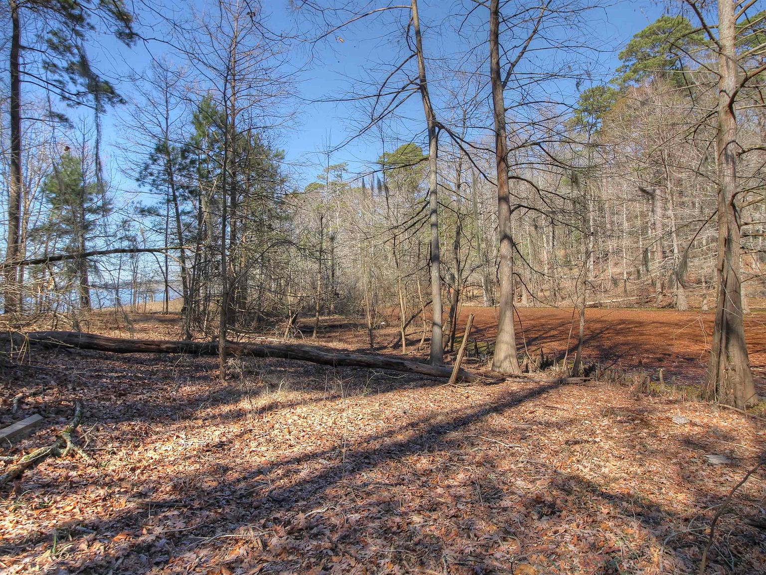 260 Elm Dr, Etoile, TX 75944 MLS 207463 Zillow