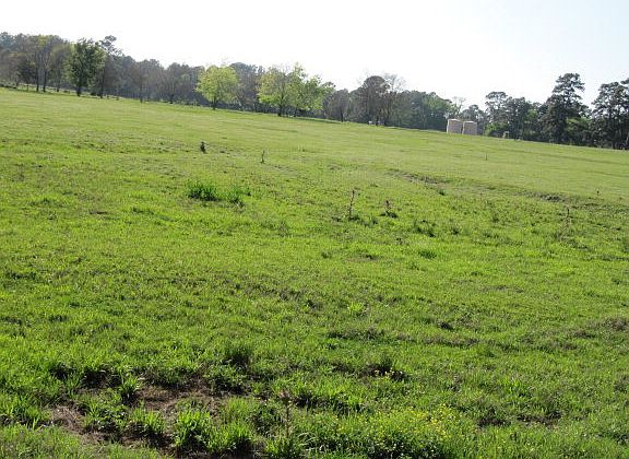 2nd image of 22173 State Highway 135