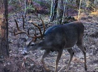 00 Bonnie Creek St, Coldspring, TX 77331