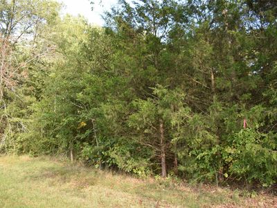 Vander Oldham Rd LOT 1, Bear Creek, NC, 27207
