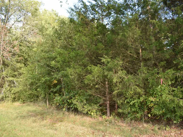 Vander Oldham Rd Lot 1, Bear Creek, NC 27207