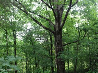 590 Richmond Rd, Byhalia, MS 38611