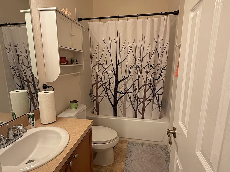 536 Pinebranch Cir — Photo 21