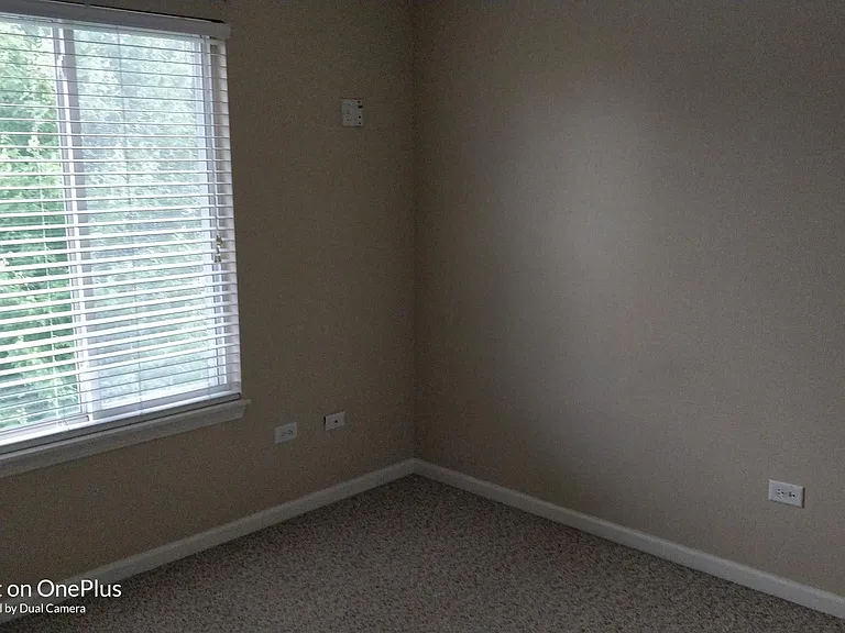 3118 Alyssa St — Photo 11