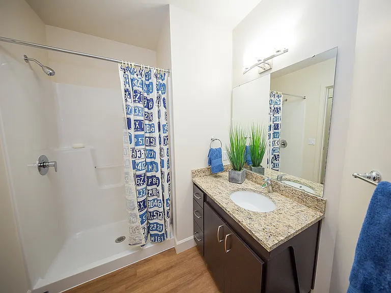 Walk-In Showers with Style
