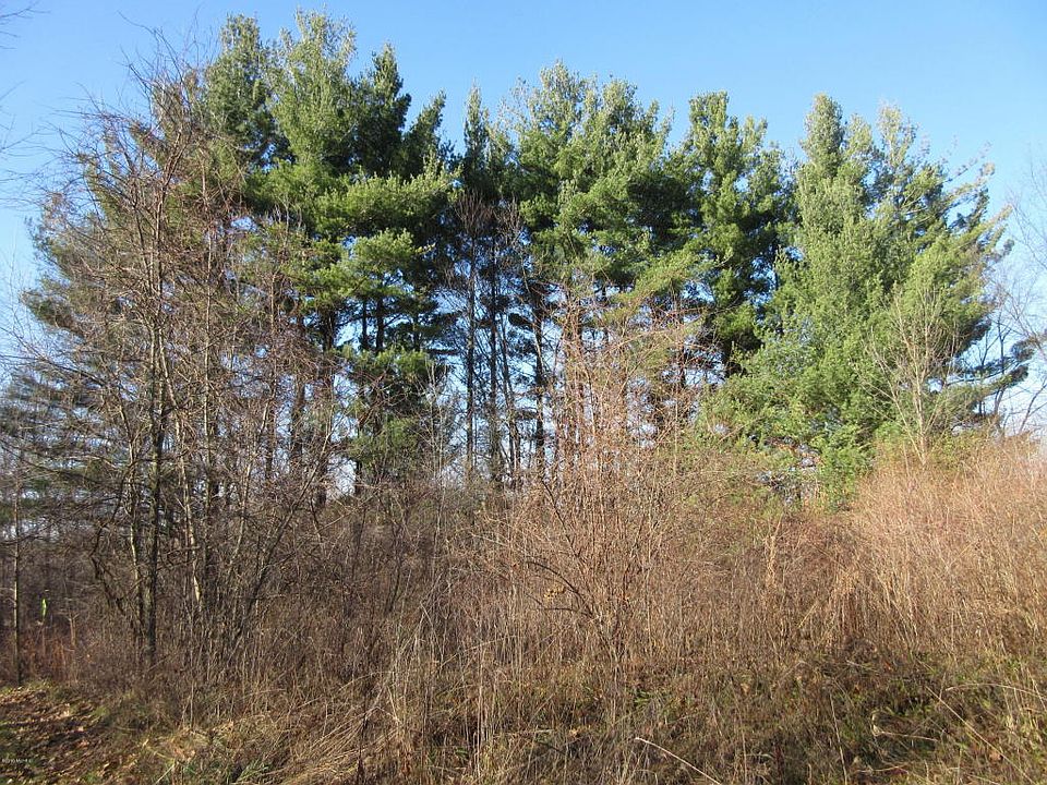 2nd image of 12619 Shorelander Ct NE