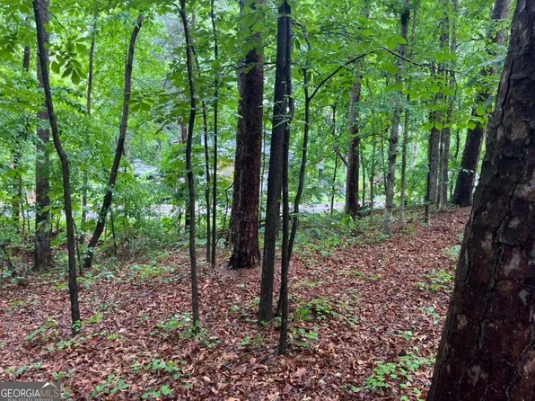 0 Lake Club Dr, Lavonia, GA 30553