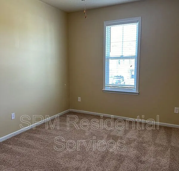 317 Cedar Island Trl — Photo 13
