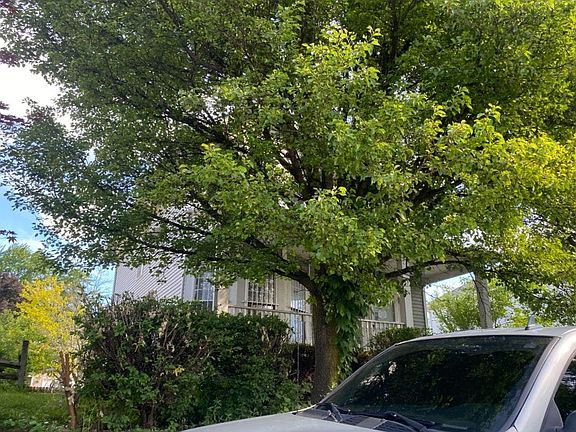 3rd image of 831 E Bancroft St