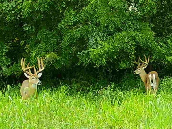 2607 State Highway 96, Kampsville, IL 62053