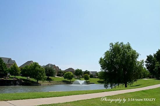 pond