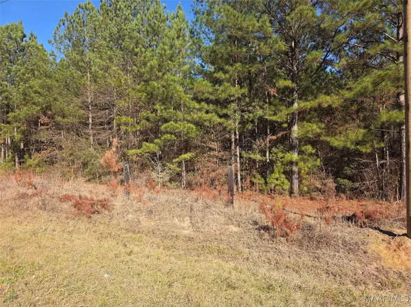 0 Amber Rd, Shorter, AL 36075