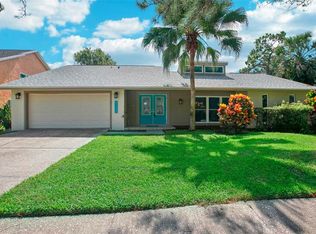 4523 Pine Hollow Dr, Tampa, FL 33624