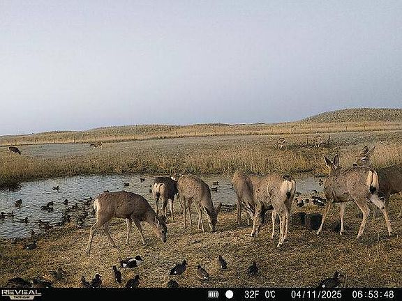 2nd image of 43105 Highway 91