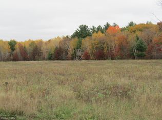 X Holly Rd, Pine City, MN 55063