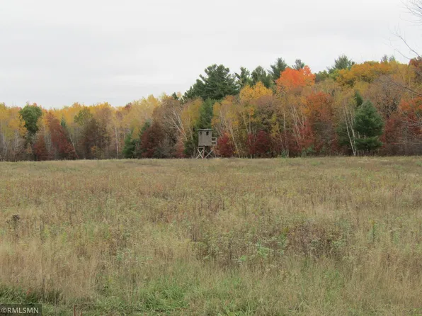 X Holly Rd, Pine City, MN 55063