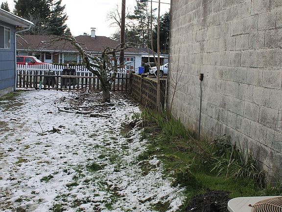 Backyard with fruit trees