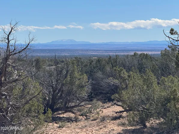 Lot 75 Red Sky Ranch -- #75, St Johns, AZ 85936