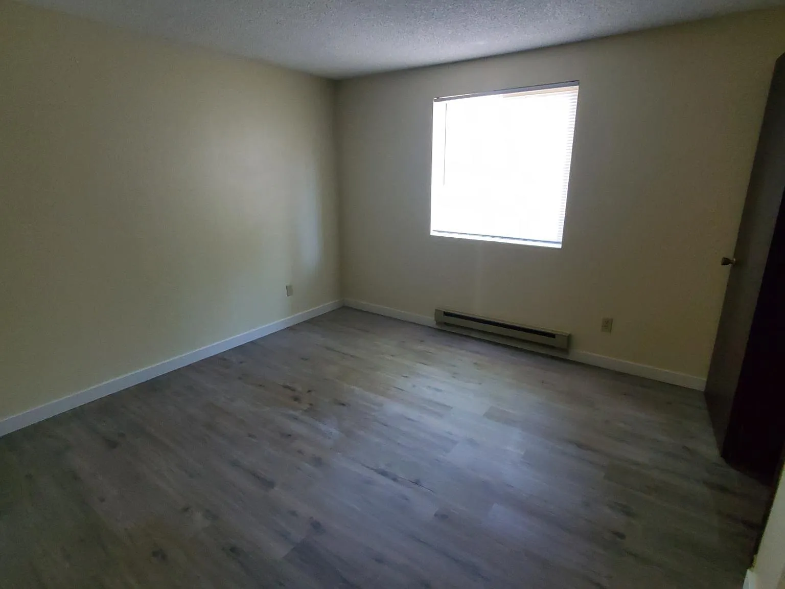 1 bed, 650 sqft, $1,200 — Photo 2
