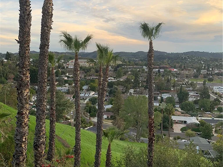 5706 Wallis Ln — Photo 6