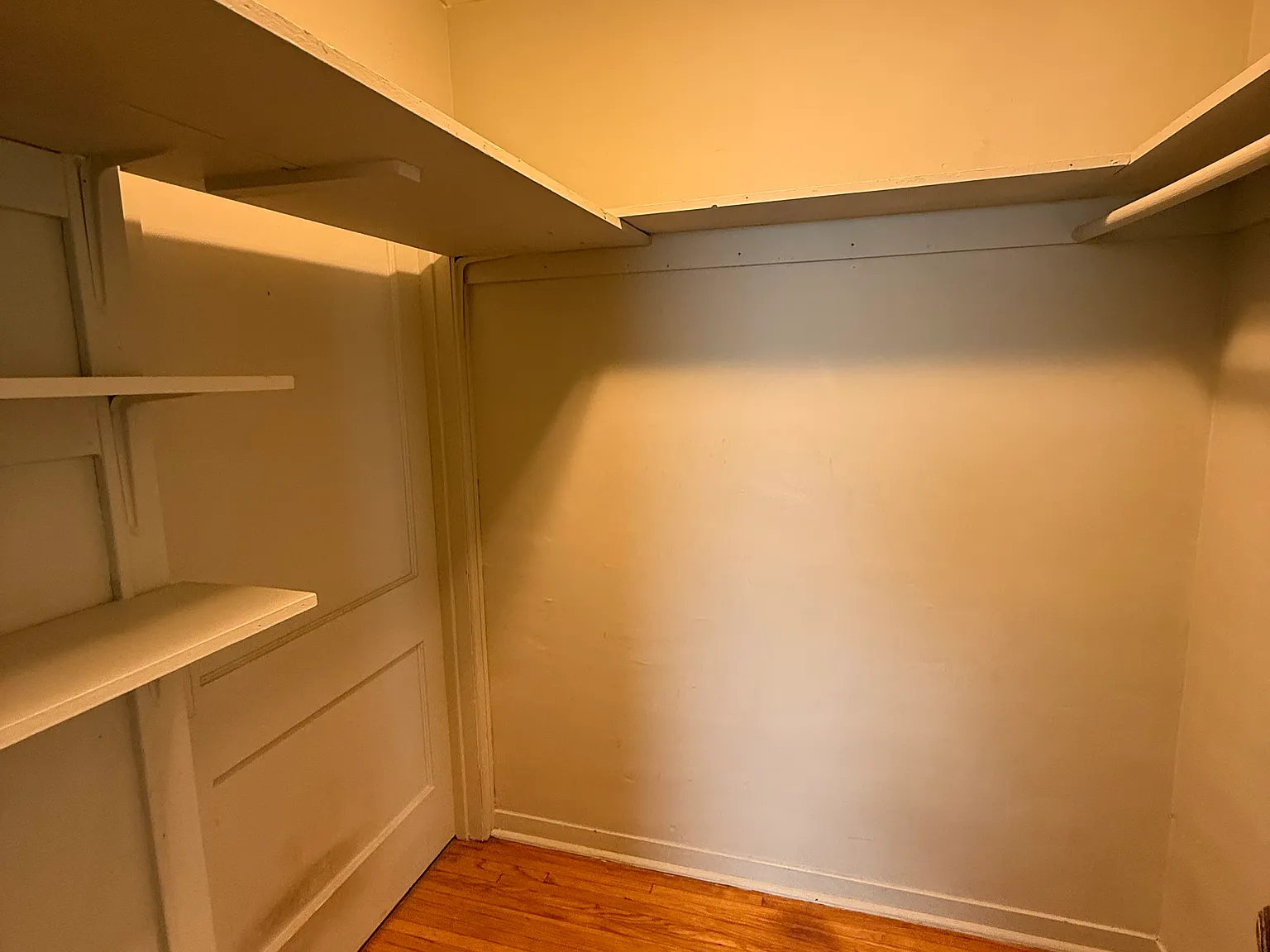 1 bed, 800 sqft, $755 — Photo 2