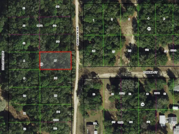 1001 Parkview Ave, Inverness, FL 34453