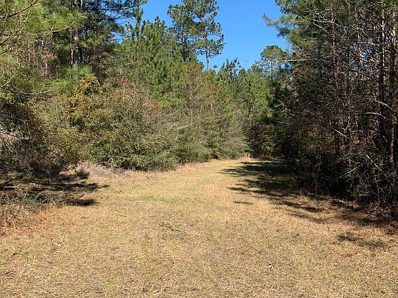 4th image of 0 County Road 37