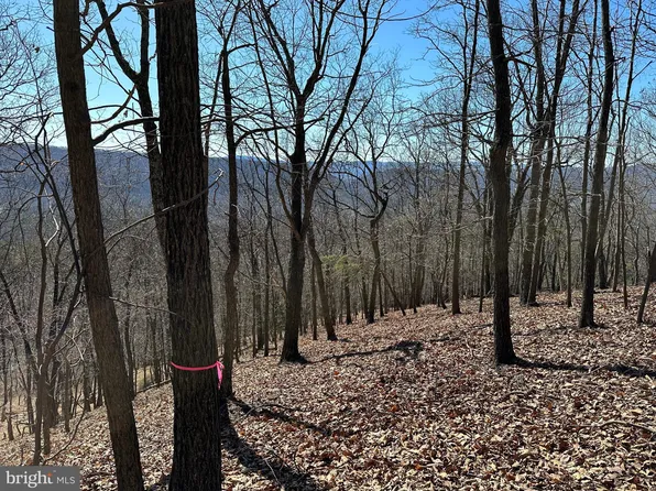 Harley Ln, Romney, WV 26757