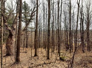 0 Roger Hill Rd, Mount Holly, VT 05758