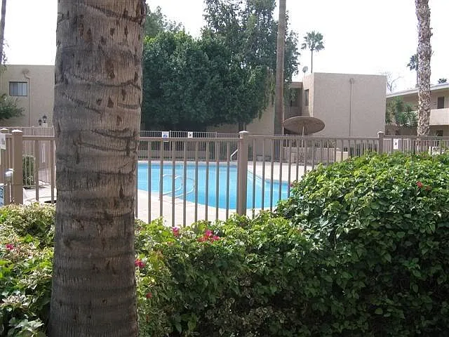 1 bed, 650 sqft, $1,295 — Photo 3