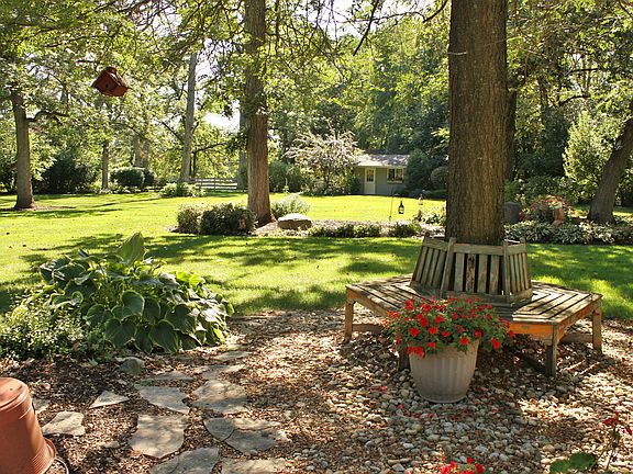 Back yard view from patio