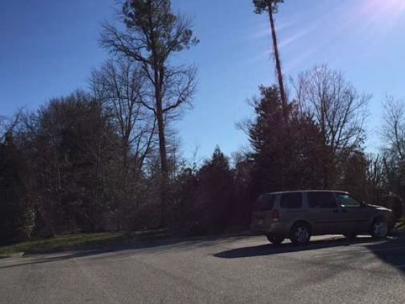 2nd image of 5521 Belle Pond Dr