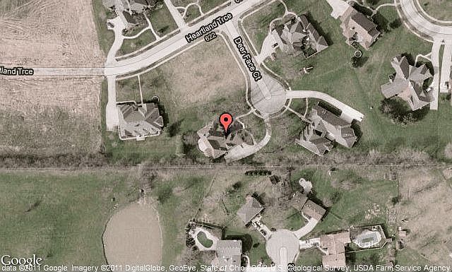 Map View