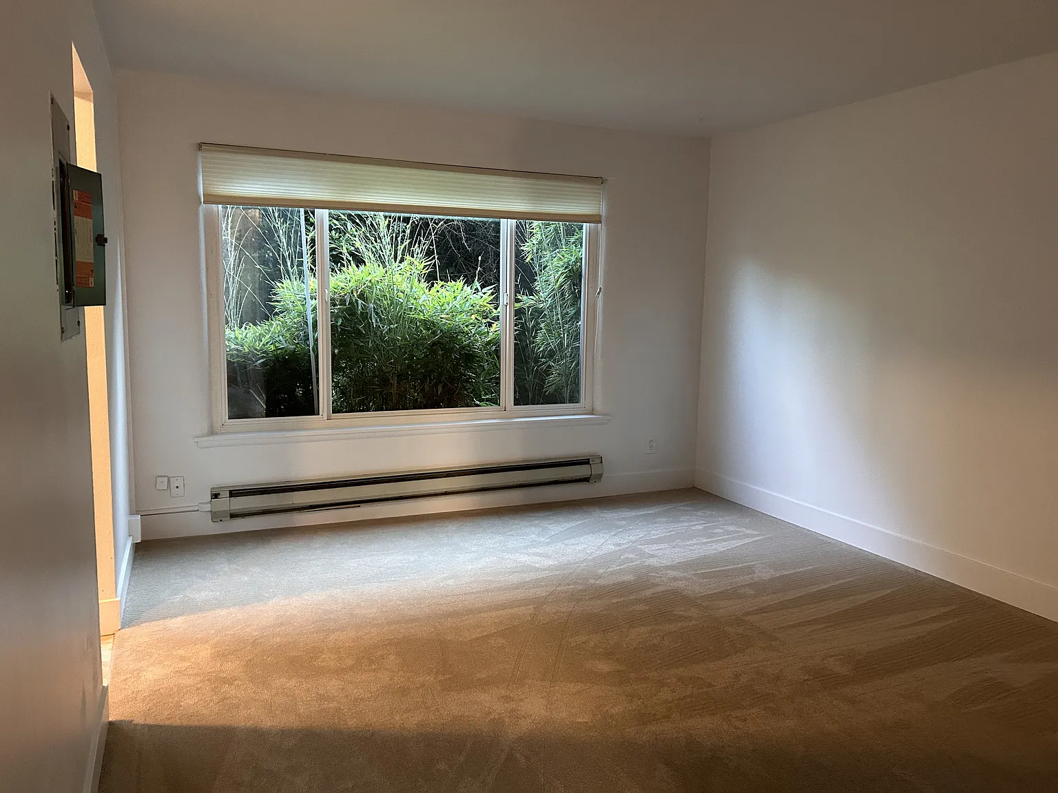 1 bed, 490 sqft, $1,400 — Photo 1