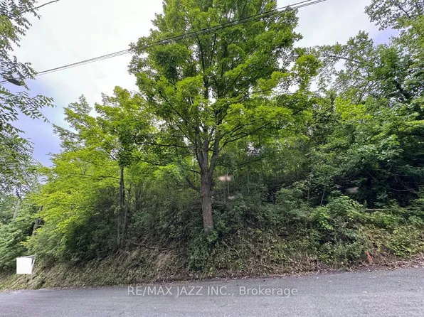 0 Maple St, Trent Hills, ON K0L 1L0