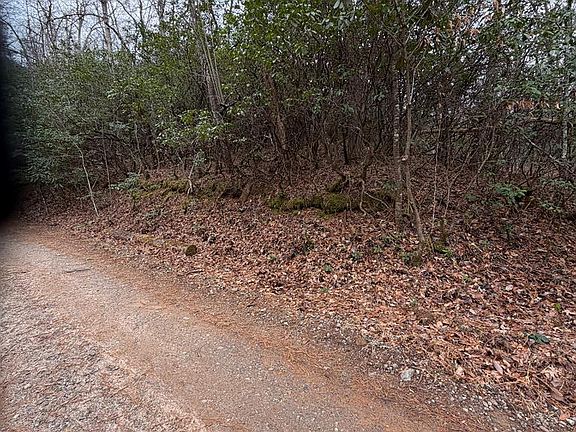 2nd image of 0 Willow Pond Rd