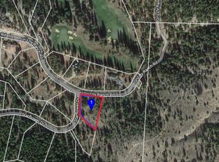 19 Starflower Dr, Portola, CA 96122