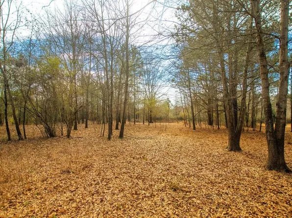 Township Road 1 Sandy Ford Rd Tract 1, Social Circle, GA 30025