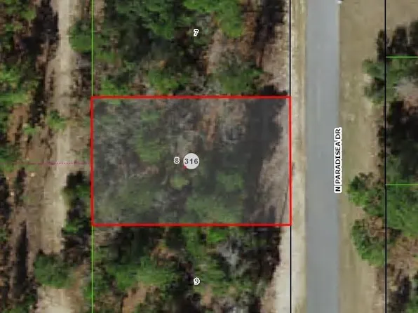 9120 N Paradisea Dr, Citrus Springs, FL 34433