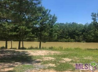 23816 Monarch Point, Maurepas, LA 70462